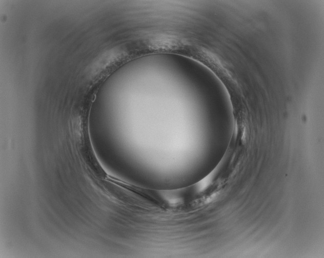 X0000068270211200604211119