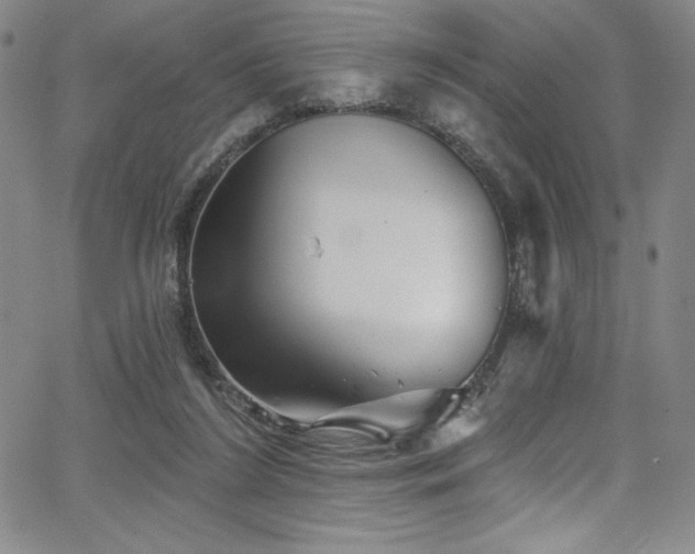 X0000068270212200604211119