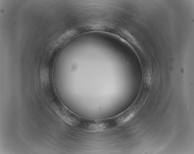 X0000068270213200604211119