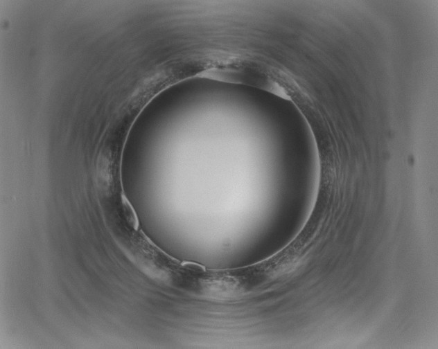 X0000068270215200604211118