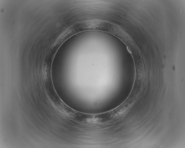 X0000068270216200604211118