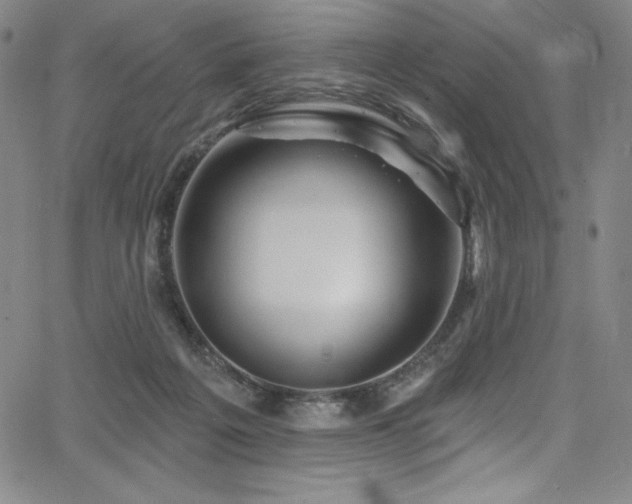 X0000068270217200604211118