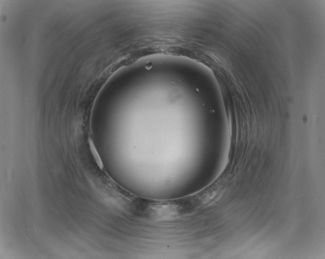 X0000068270221200604211118