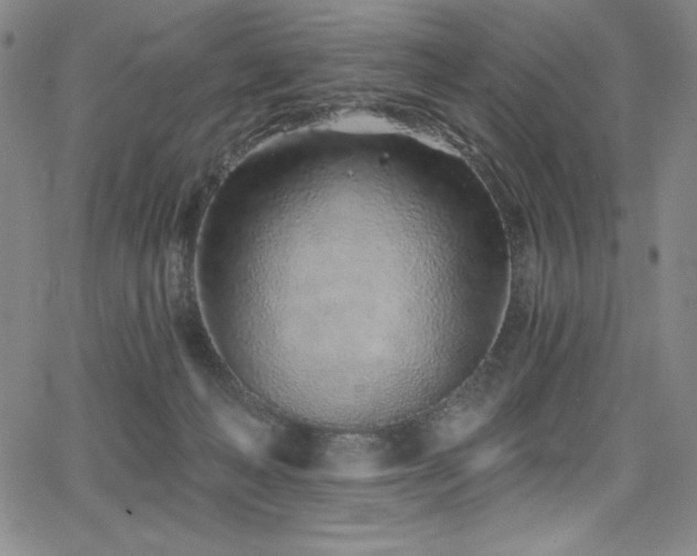 X0000068270222200604211118