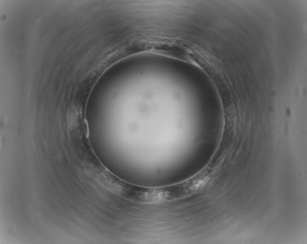 X0000068270225200604211118