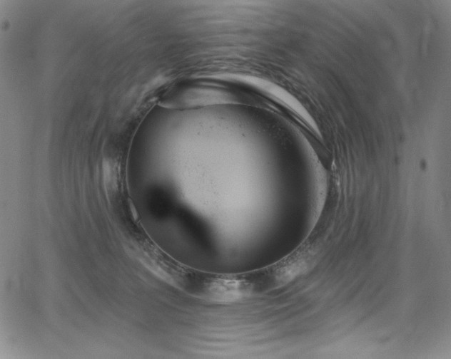 X0000068270227200604211118