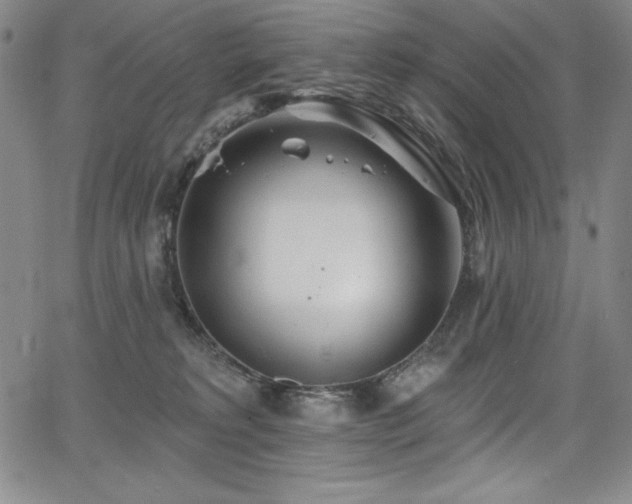 X0000068270229200604211118