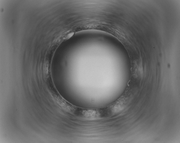 X0000068270230200604211118