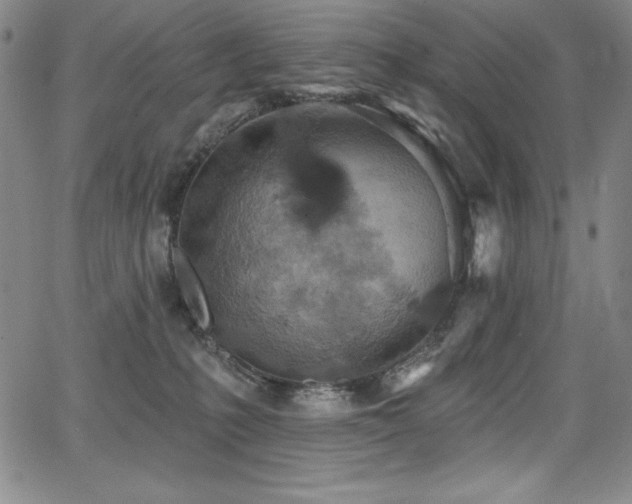 X0000068270231200604211118