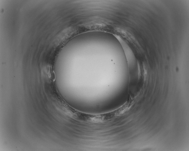 X0000068270232200604211118