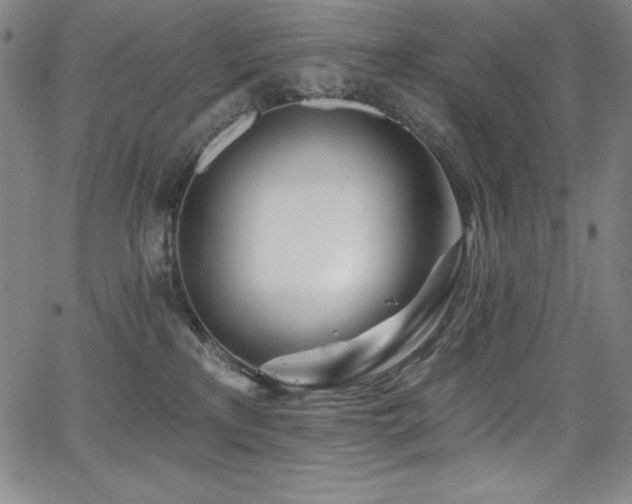 X0000068270233200604211118