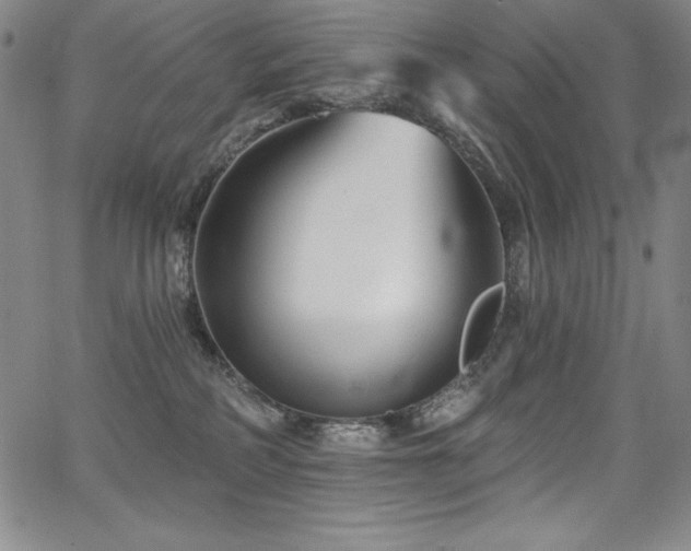 X0000068270234200604211118