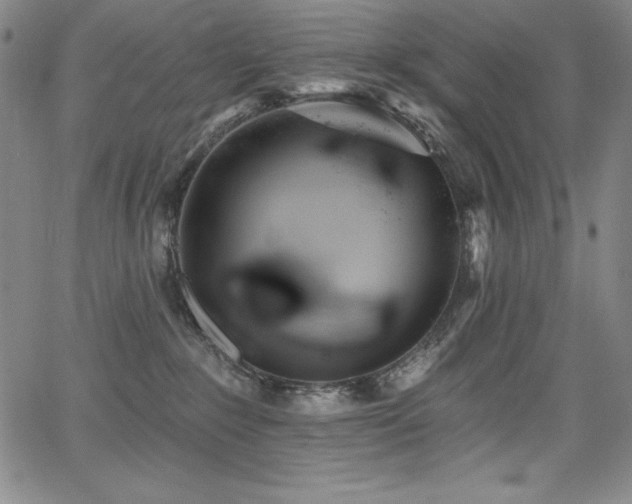 X0000068270235200604211118