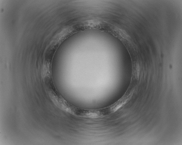 X0000068270236200604211118