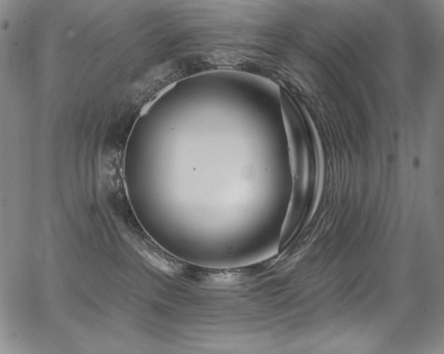 X0000068270237200604211118