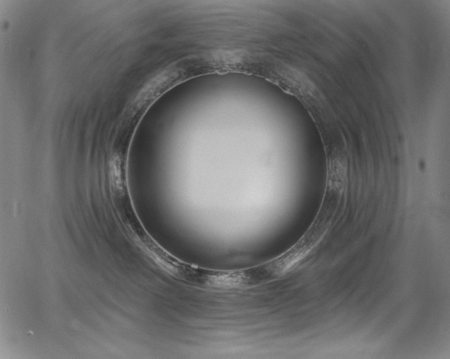 X0000068270238200604211118