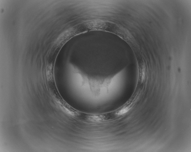 X0000068270239200604211118