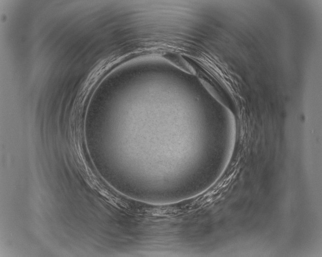 X0000068270241200604211117