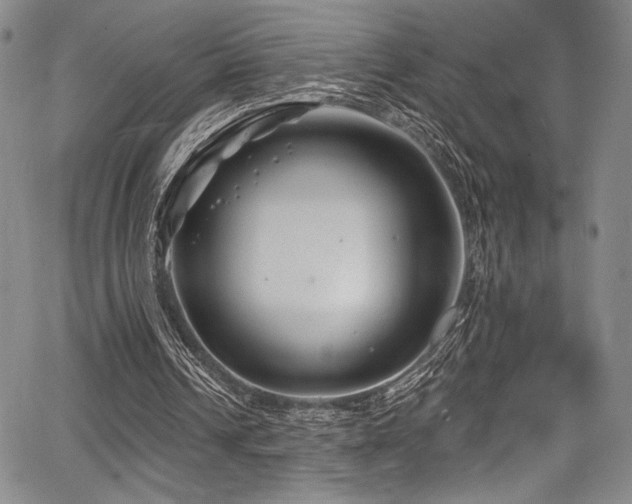 X0000068270242200604211117