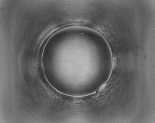 X0000068270243200604211117