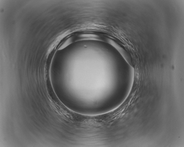 X0000068270244200604211117