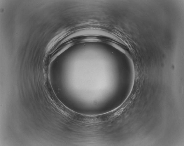 X0000068270245200604211117