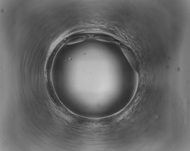 X0000068270246200604211117