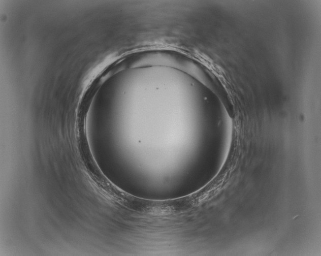 X0000068270248200604211117