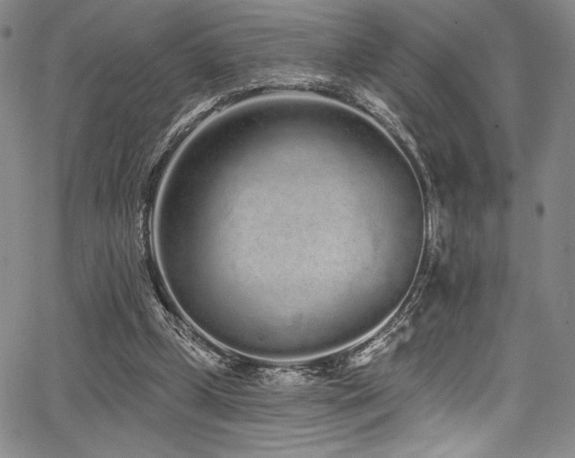 X0000068270249200604211117