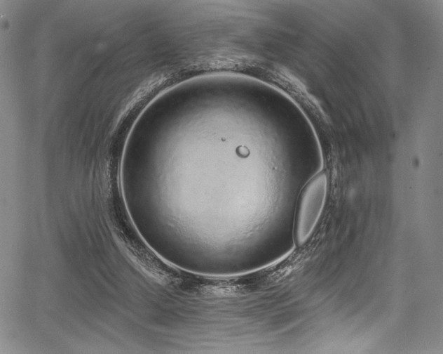 X0000068270250200604211117