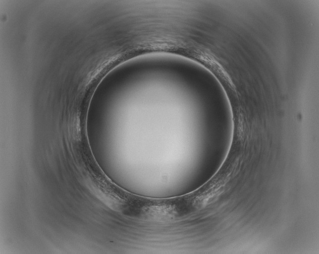 X0000068270251200604211117