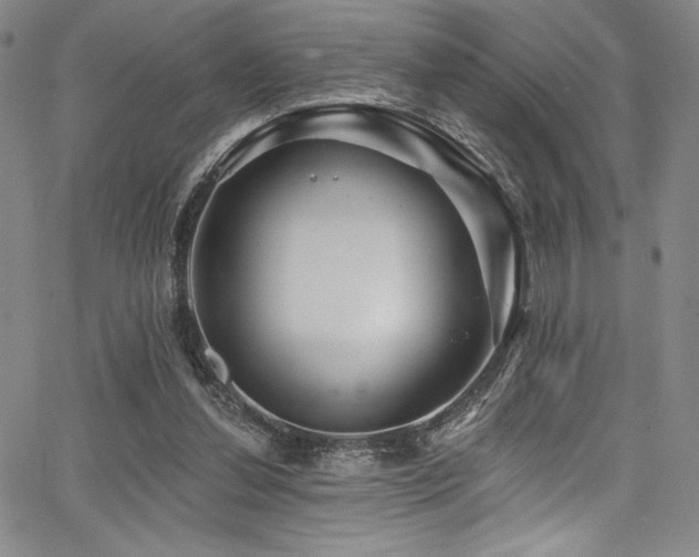 X0000068270252200604211117