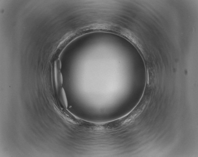 X0000068270253200604211117