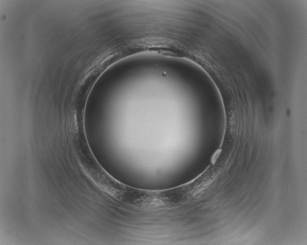 X0000068270254200604211117