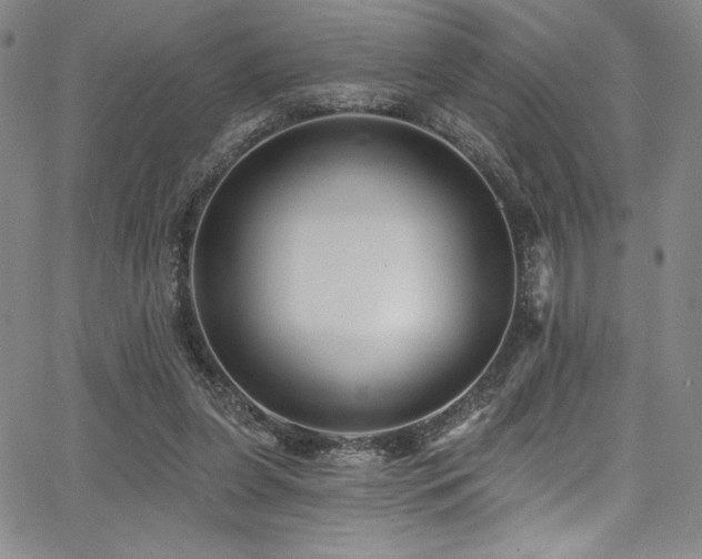 X0000068270255200604211118