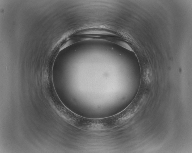 X0000068270256200604211118