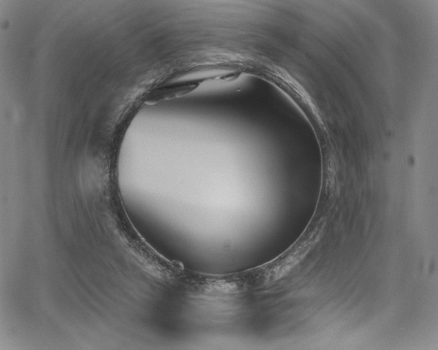 X0000068270257200604211118