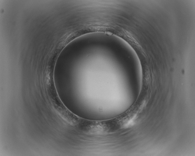 X0000068270259200604211118