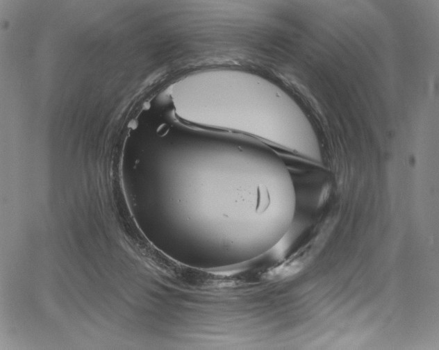 X0000068270260200604211118