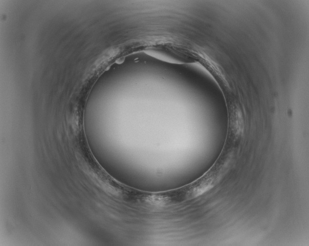 X0000068270261200604211118