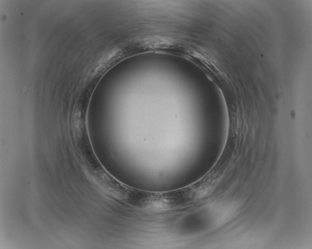 X0000068270263200604211118