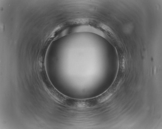 X0000068270264200604211118