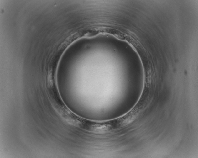 X0000068270267200604211118