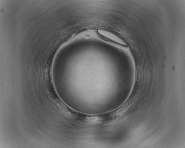 X0000068270269200604211118