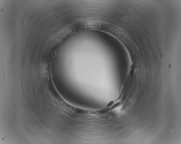 X0000068270270200604211118