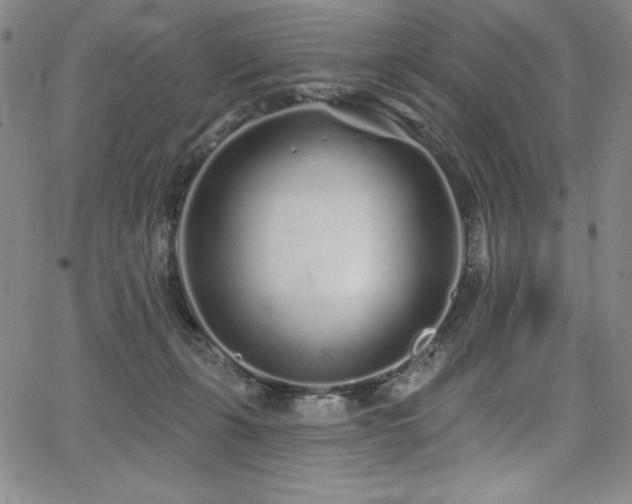 X0000068270271200604211118