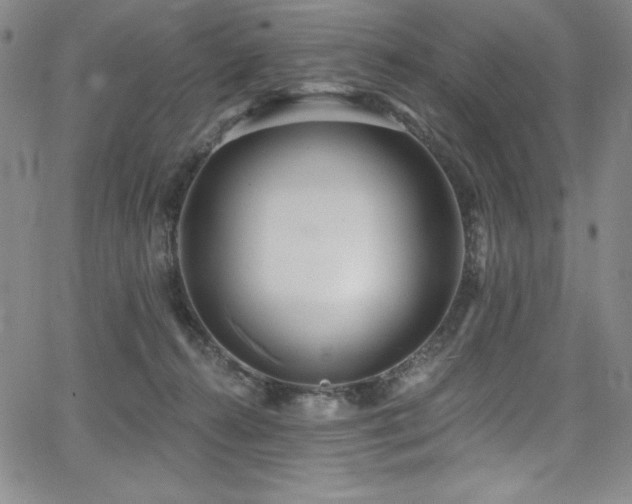 X0000068270272200604211118