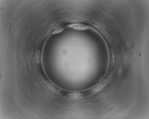 X0000068270273200604211118