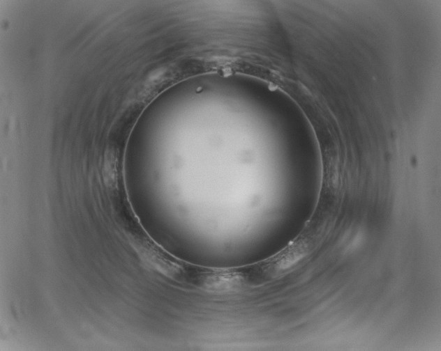 X0000068270274200604211118