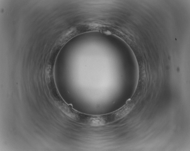 X0000068270275200604211118